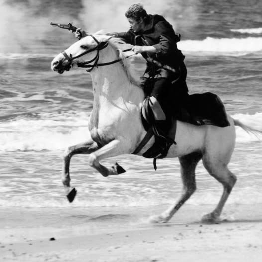 Schüsse unterm Galgen